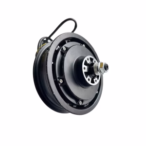 Trasero Motor Hub 48v Original Joyor
