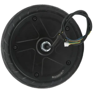300W Motor